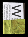 Taqquino 108