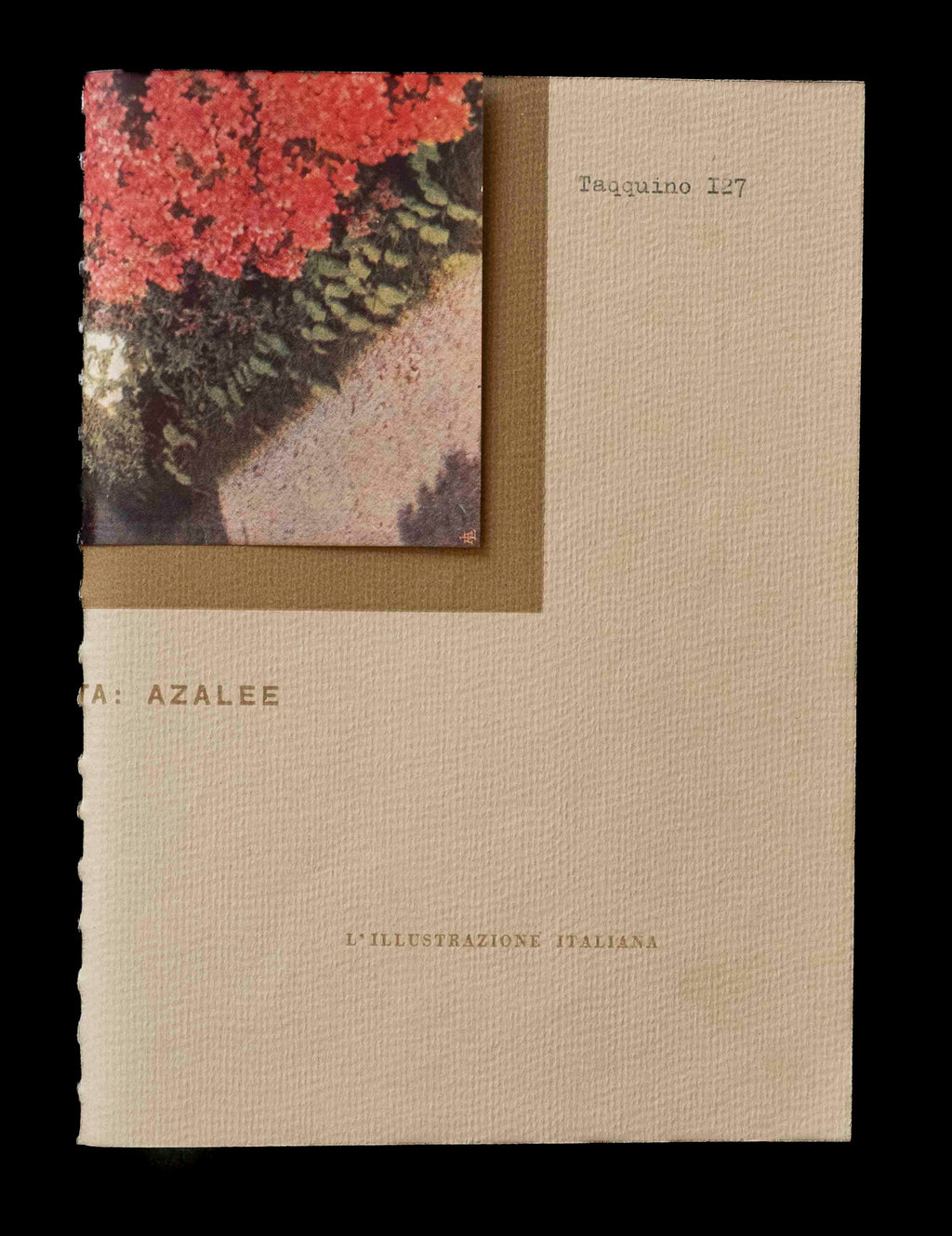 Taqquino 127