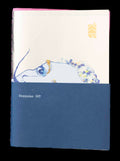 Taqquino 167